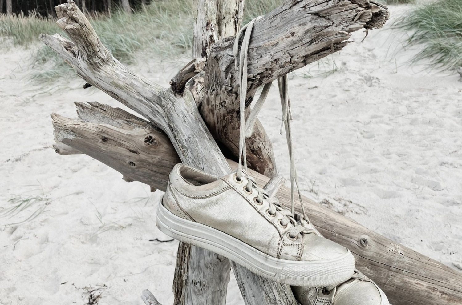 Das Foto zeigt goldene Schuhe, die an einem Holz hängen, das am Strand steckt.e